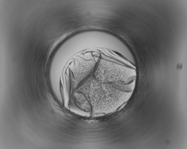 X0000112720395200910011137