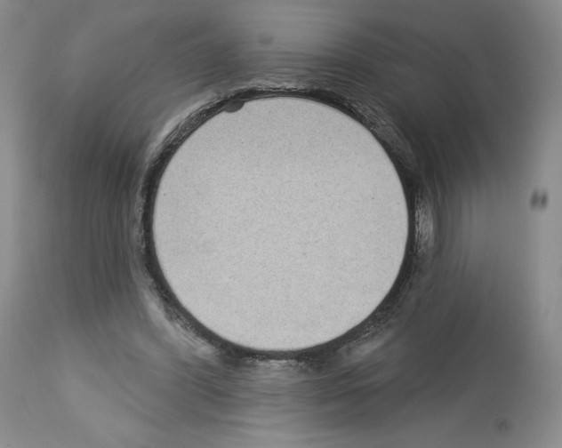 X0000112720396200910011137