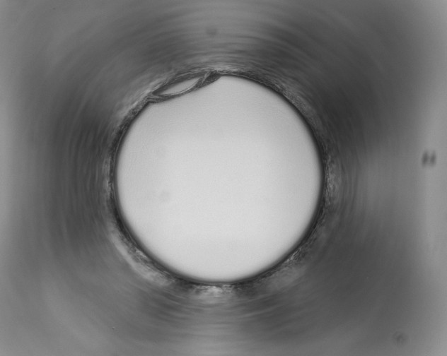 X0000112720398200910011137