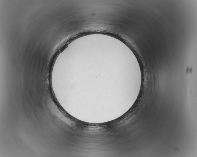 X0000112720399200910011137