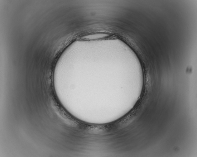 X0000112720402200910011137