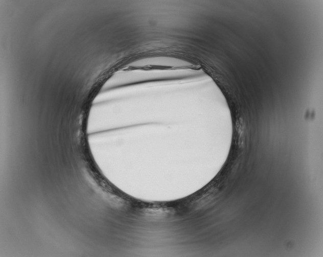 X0000112720404200910011137