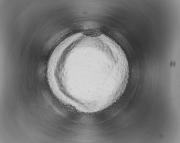 X0000112720405200910011137