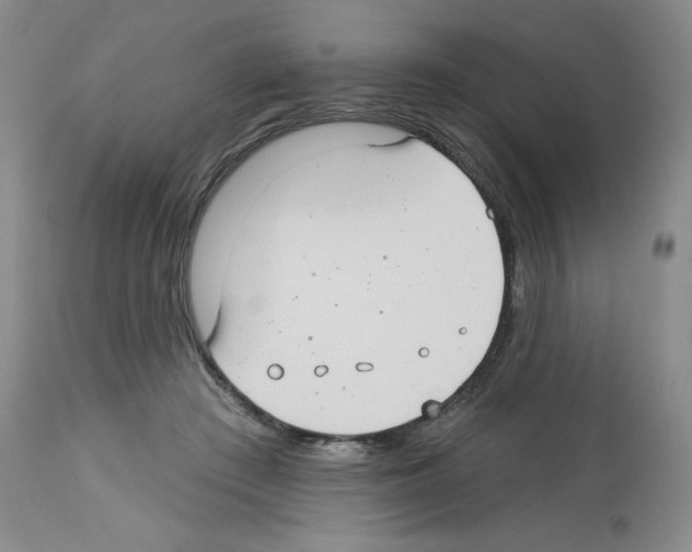 X0000112720409200910011137