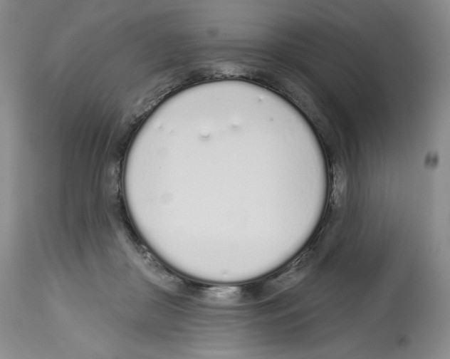 X0000112720410200910011137