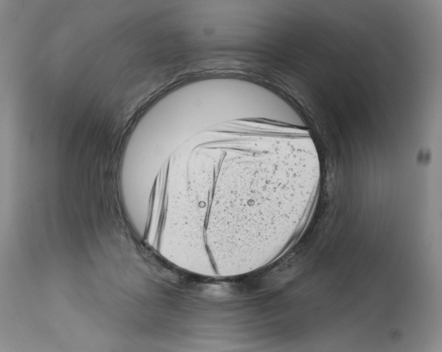 X0000112720411200910011137