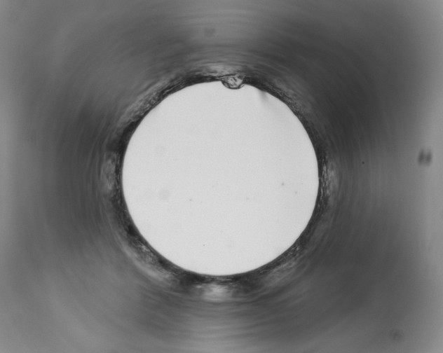 X0000112720412200910011137