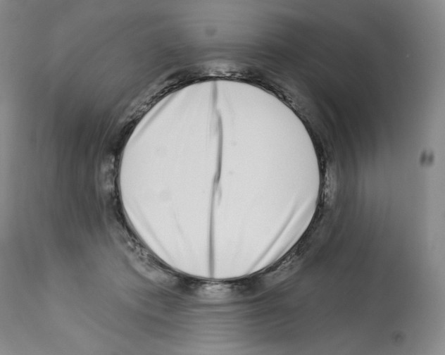 X0000112720413200910011137