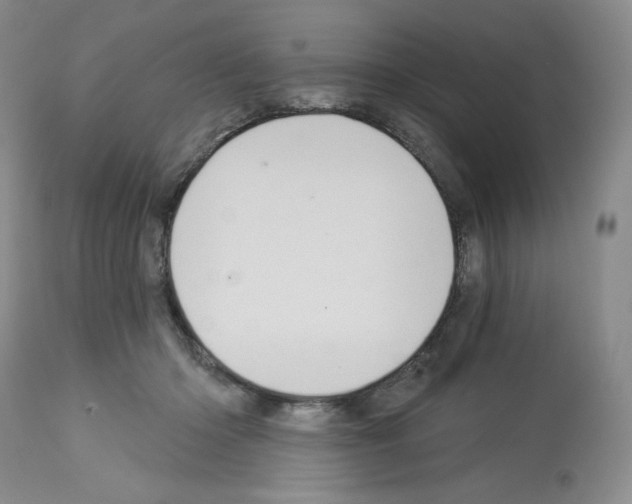 X0000112720414200910011137