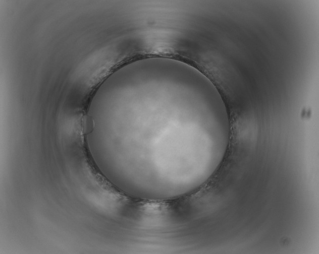 X0000112720415200910011137