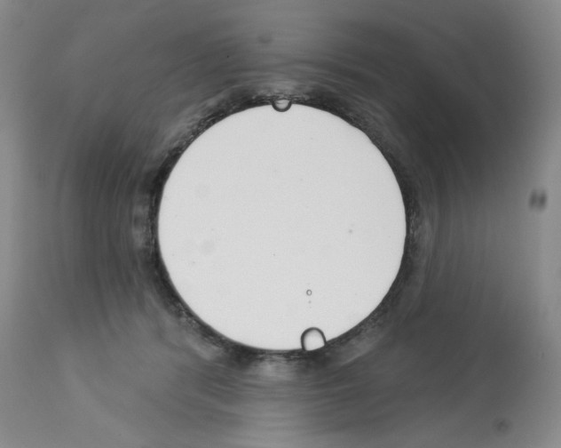 X0000112720416200910011137