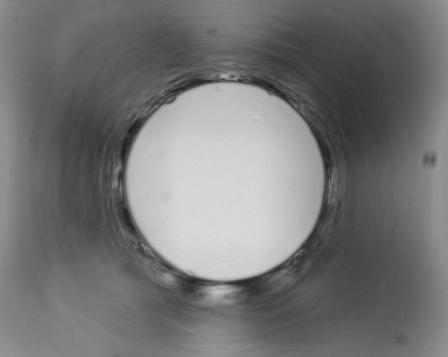 X0000112720417200910011137