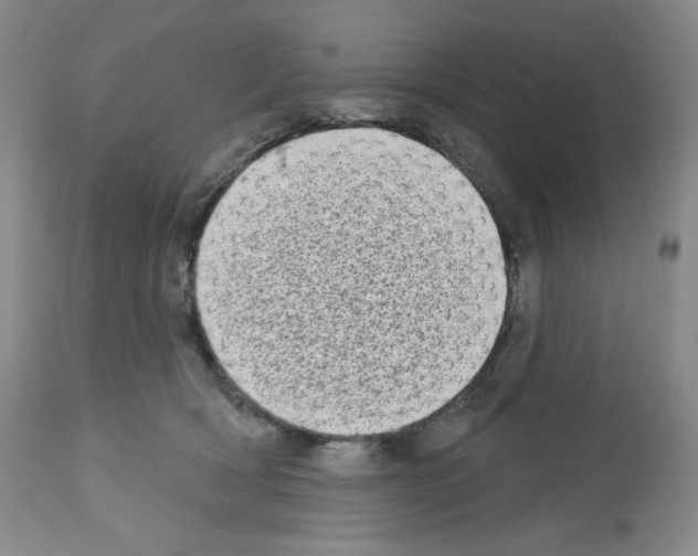 X0000112720418200910011137