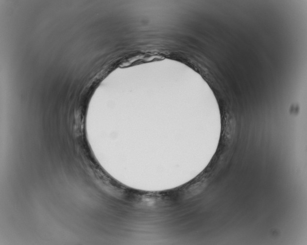 X0000112720420200910011137