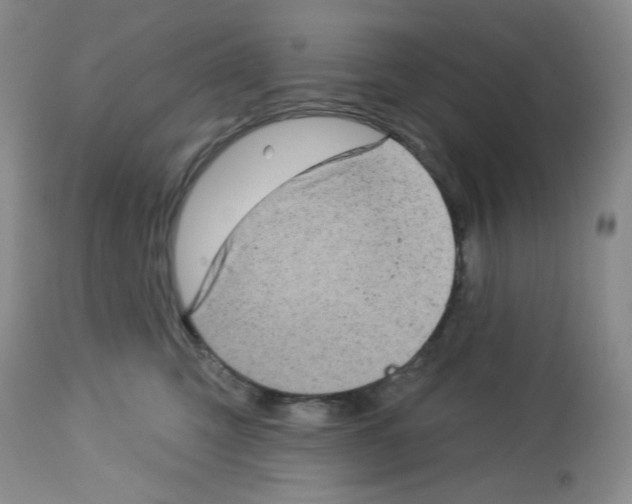 X0000112720423200910011137