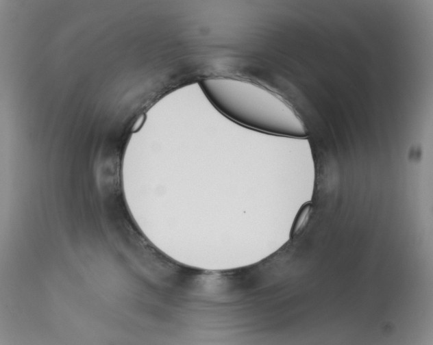 X0000112720425200910011137