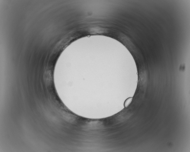 X0000112720426200910011137