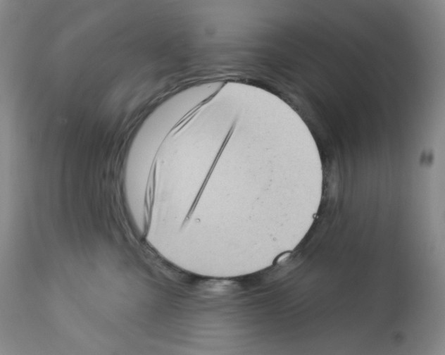 X0000112720427200910011137