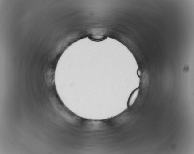 X0000112720428200910011137