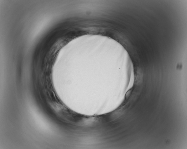 X0000112720430200910011136