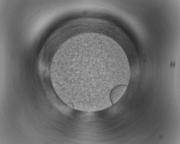 X0000112720431200910011136