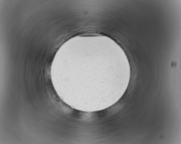 X0000112720432200910011136