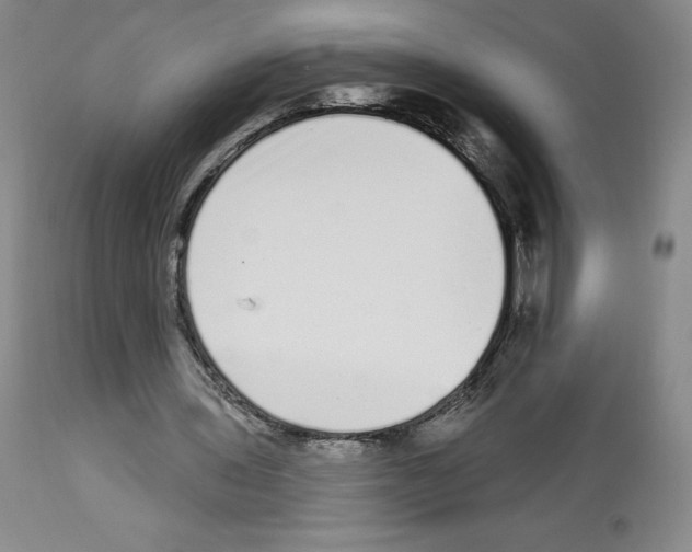 X0000112720435200910011136