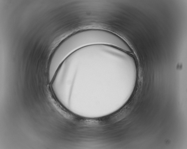 X0000112720437200910011136