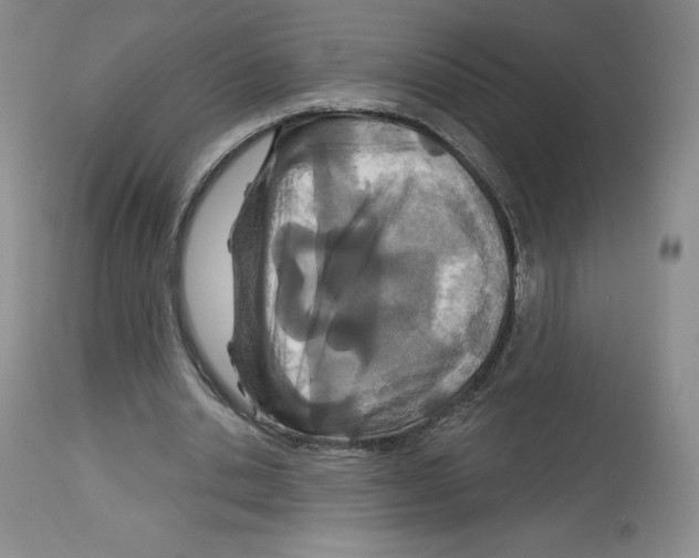 X0000112720438200910011136