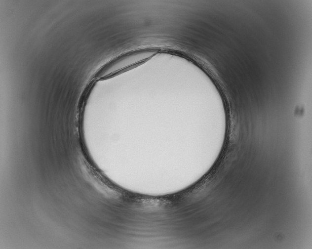 X0000112720439200910011136