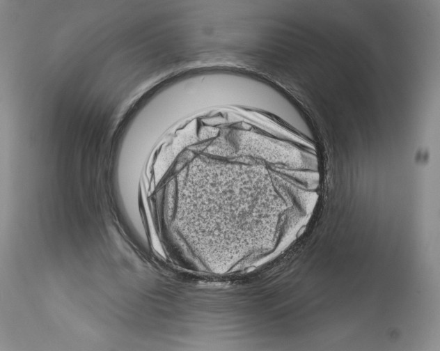 X0000112720440200910011136