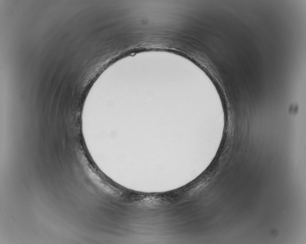 X0000112720441200910011136