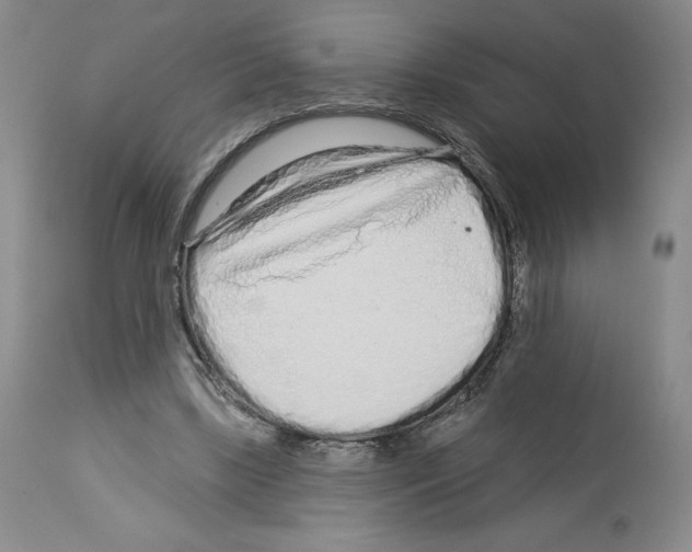 X0000112720443200910011136