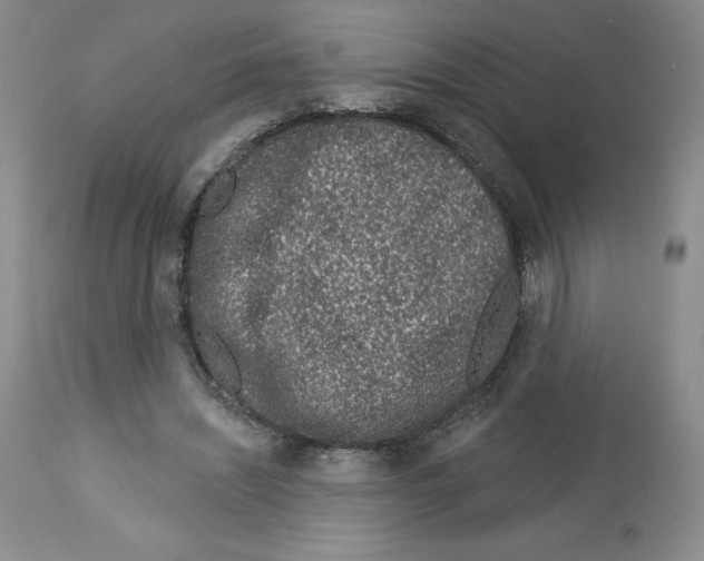 X0000112720444200910011136