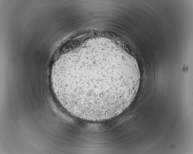 X0000112720446200910011136