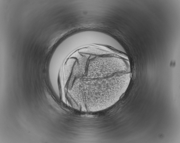 X0000112720448200910011136