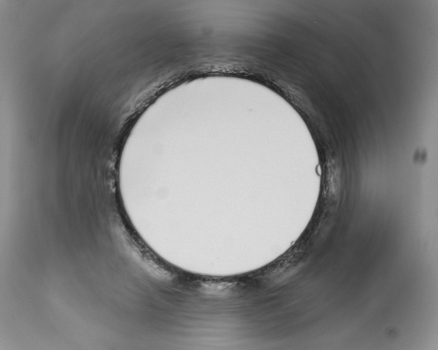 X0000112720450200910011136