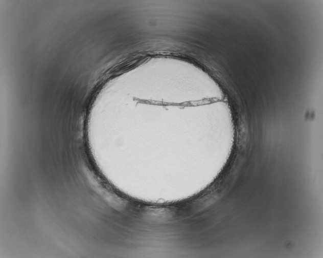 X0000112720454200910011136