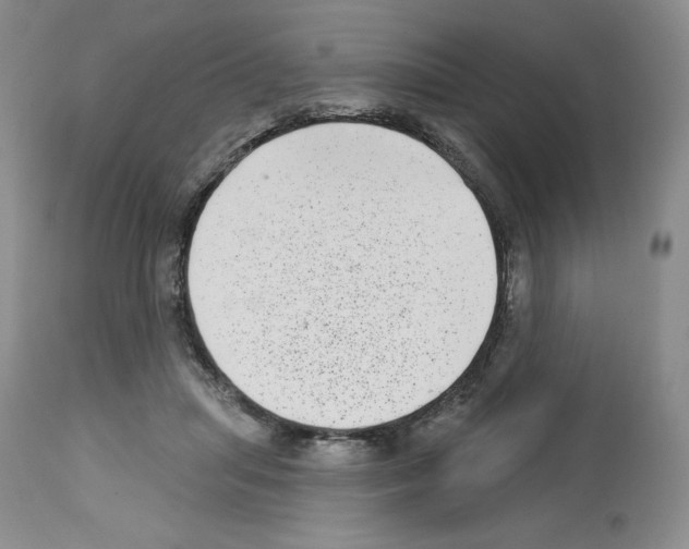 X0000112720455200910011136