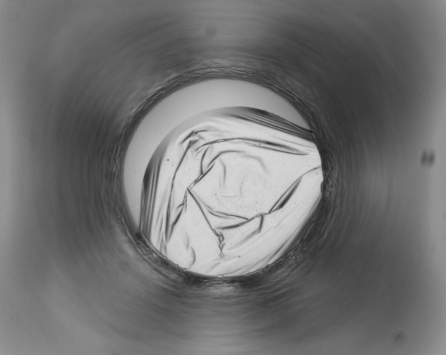 X0000112720456200910011136