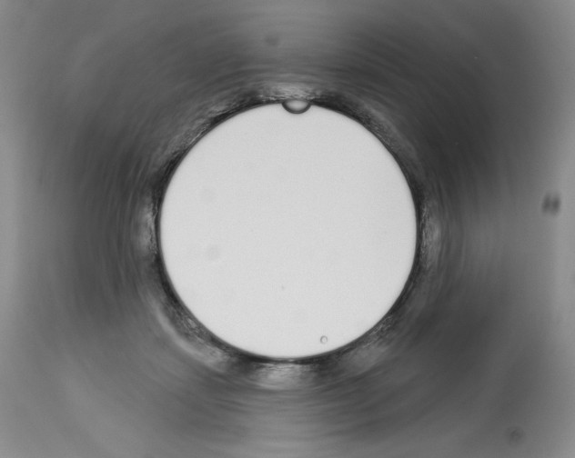 X0000112720459200910011136