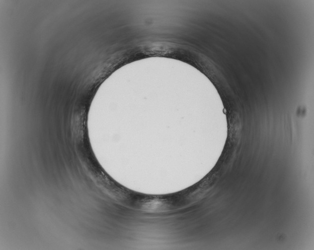 X0000112720460200910011136