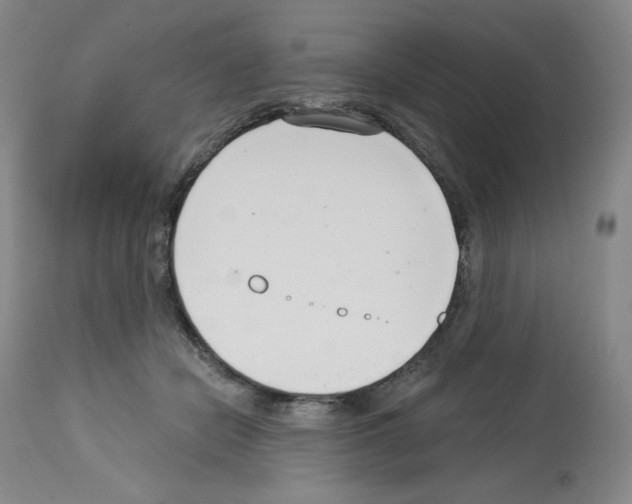 X0000112720462200910011136