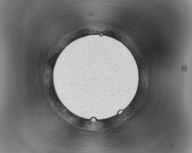 X0000112720463200910011136