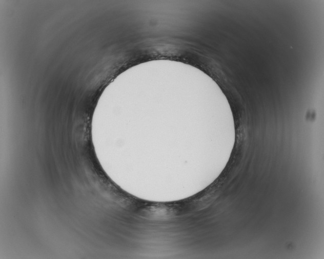 X0000112720464200910011136