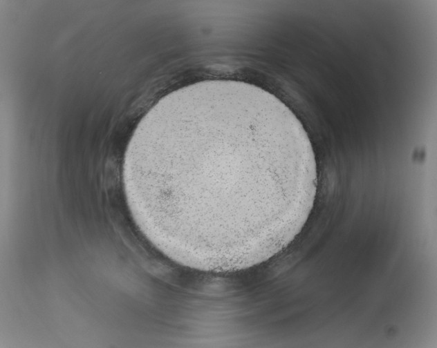 X0000112720467200910011136