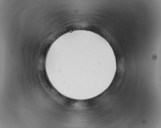 X0000112720468200910011136