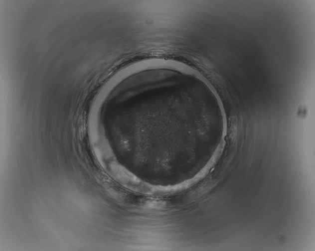 X0000112720471200910011136