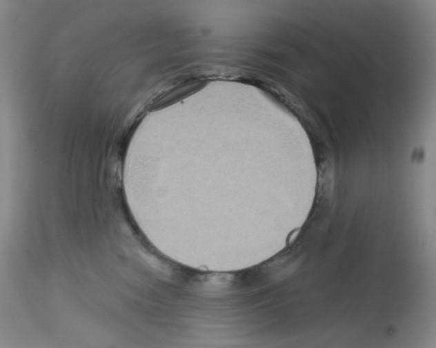 X0000112720474200910011136