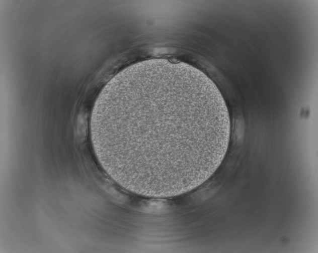 X0000112720475200910011136